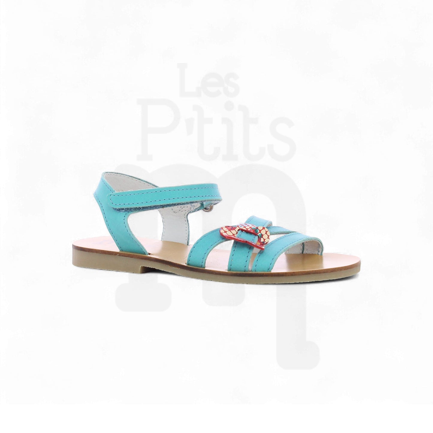 Camelia -Turquoise
