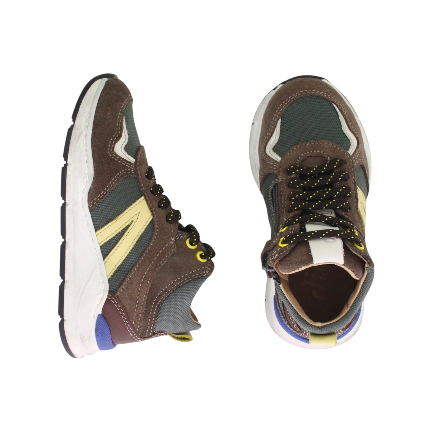 Swift - marron & Vert