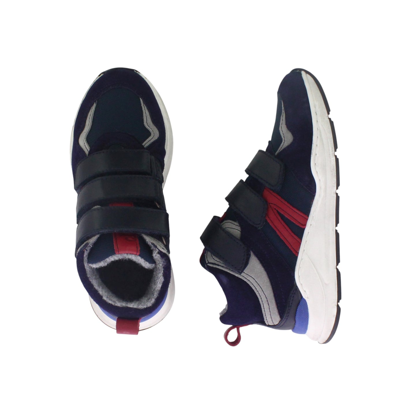 Winter Swift - marine