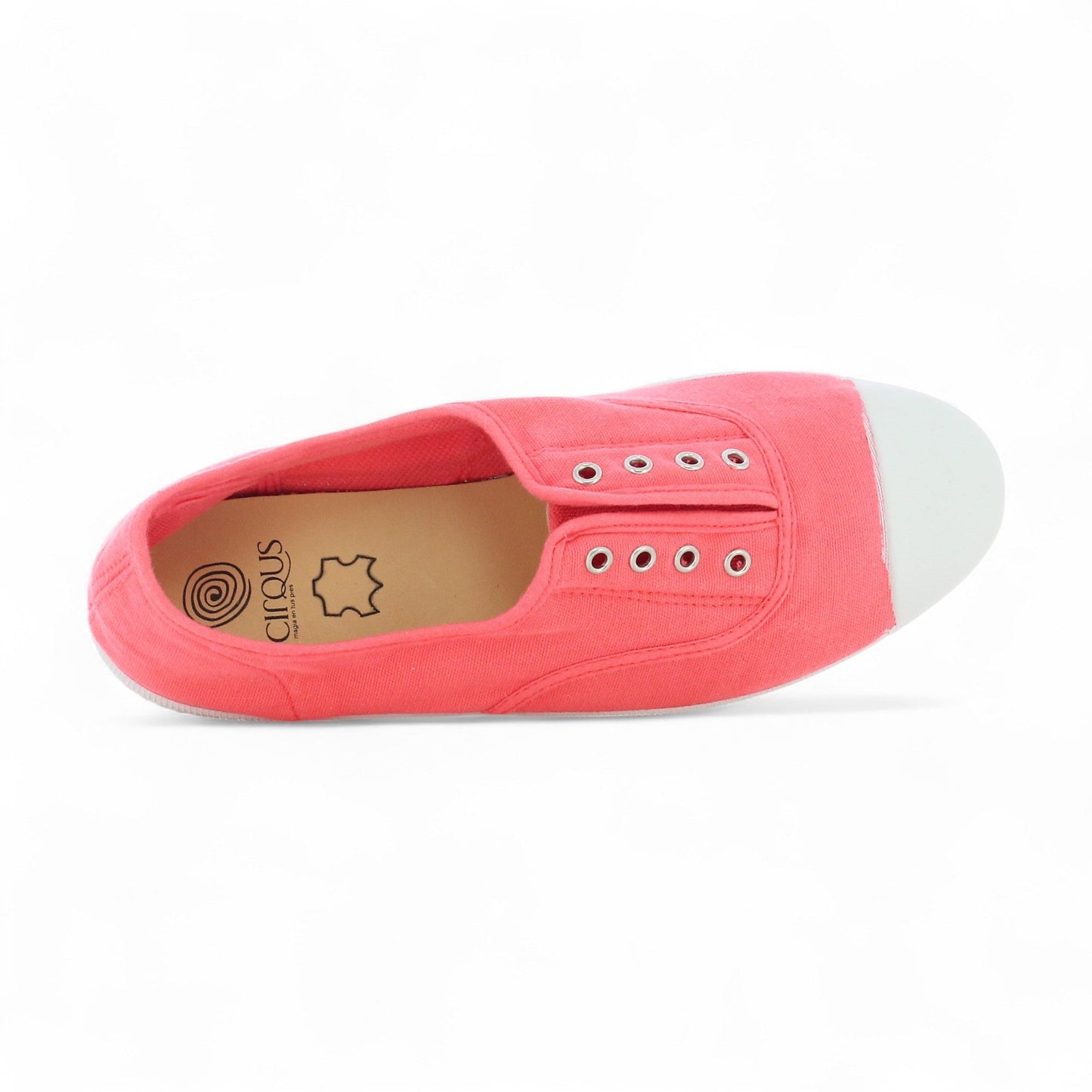 Big Springy - Corail
