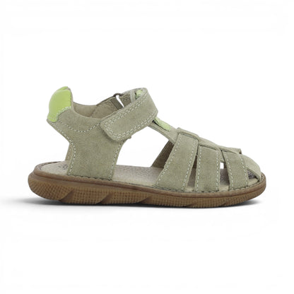 Argos - Beige