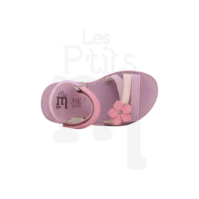 Lila - Parme