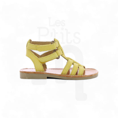 Calie - Jaune