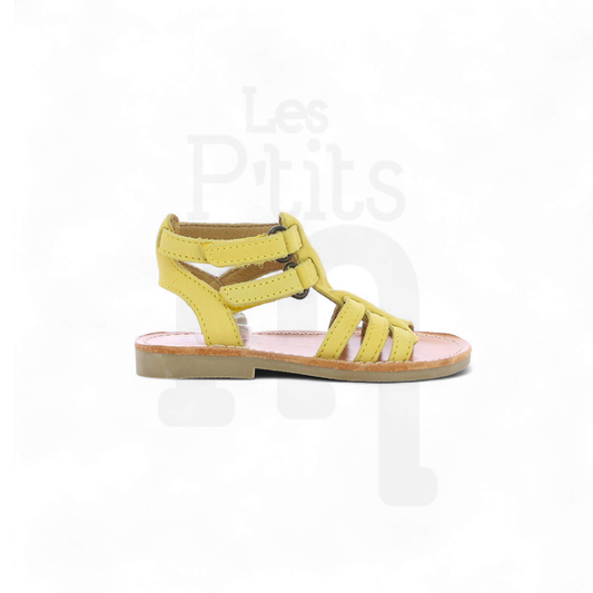 Calie - Jaune