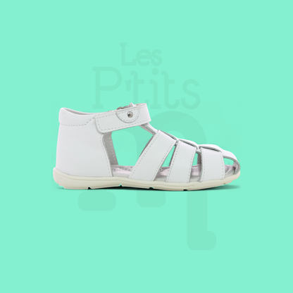 Asteri - White