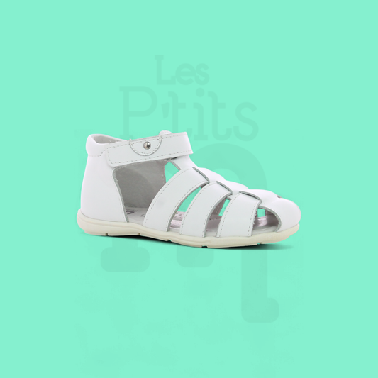 Asteri - White