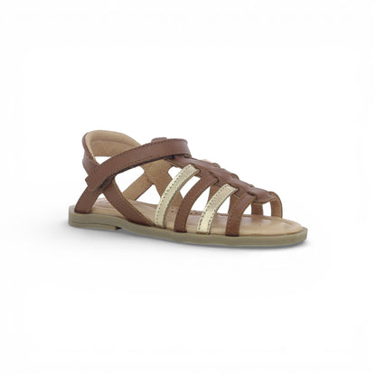 Cassiopée - Camel Doré